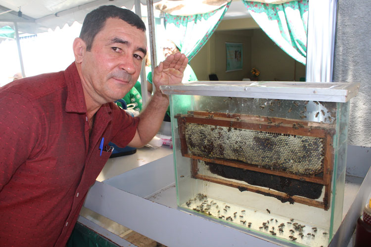 Brumado: Apicultor de Aracatu expõe colmeia em aquário durante feira da agricultura familiar