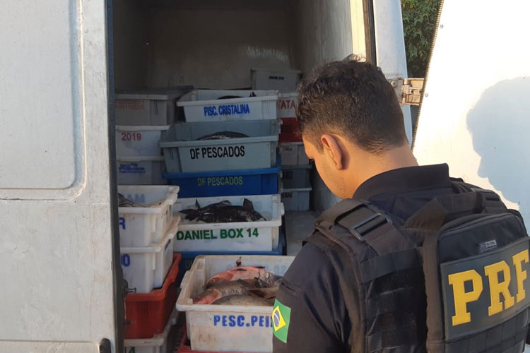 Polícia apreende 1,2 tonelada de peixe transportado de forma irregular no oeste da Bahia