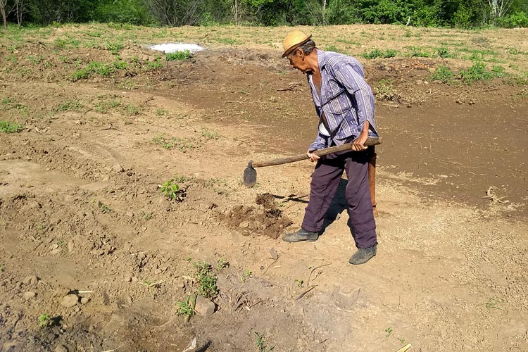 Brumado: Retorno do Pedal na Roça registra lavradores voltando a plantar após chuvas de verão