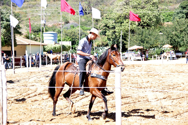 Caetité: Campeonato de Equinos e Levantamento de Mastro marcam início dos festejos do 2 de Julho