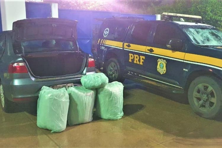 Canudos: Homem e mulher grávida são presos transportando 100Kg de maconha na BR-116