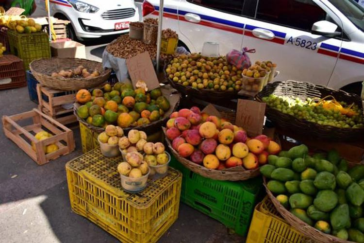 Bahia ocupa segundo lugar na produção nacional de frutas, aponta IBGE