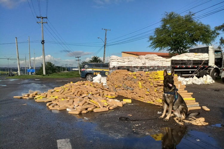Caminhoneiro é detido com 3 toneladas de maconha escondida em farinha no interior da Bahia