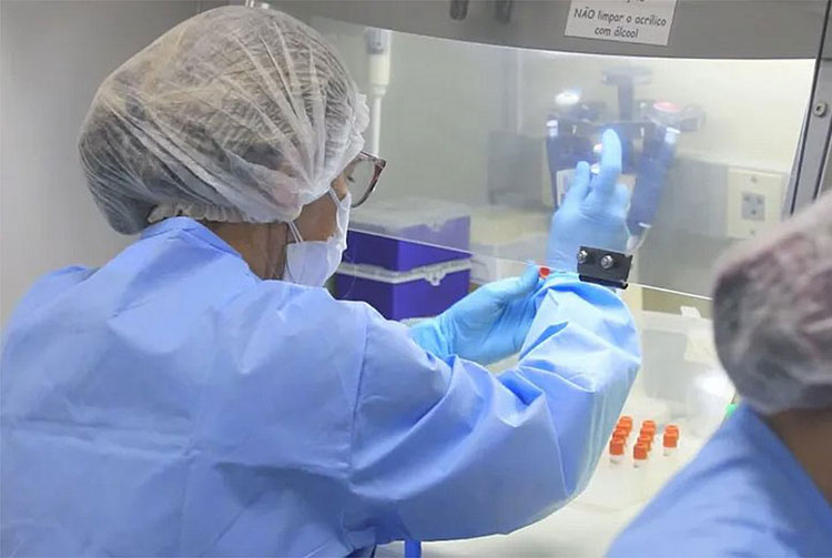 Varíola dos macacos: Rio de Janeiro registra primeira morte em paciente de 33 anos