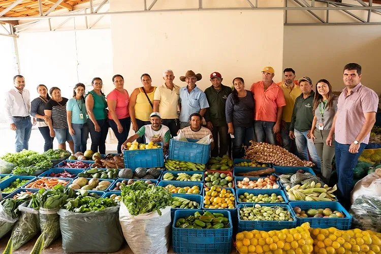 Produtores rurais entregam mais de 2 mil quilos de alimentos agroecológicos em Pindaí