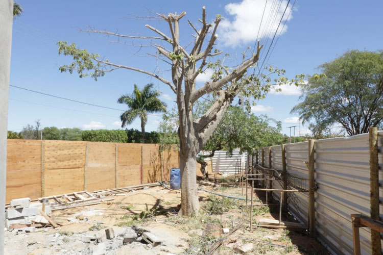 Prefeitura multa provedor de internet em mais de R$ 11 mil por destruir árvores em Igaporã