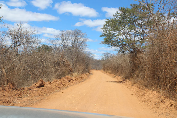 Dois homens são presos depois de roubarem uma moto em distrito rural de Jacaraci