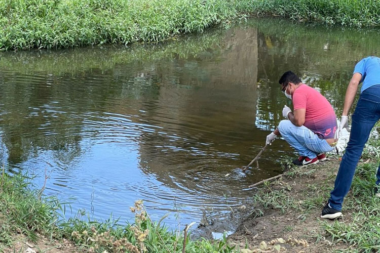 Pescaria é proibida em rio no sudoeste baiano após surgimento de lama escura e 100 mil peixes mortos