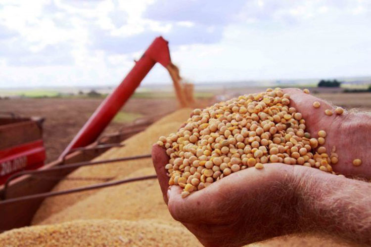 Seca e chuva devem pressionar a inflação dos alimentos em 2022