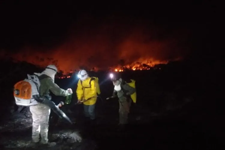 Grande incêndio atinge cerca de 800 hectares de mata na região de Ituaçu