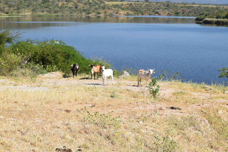 Brumado: Barragem de Cristalândia deve recuperar volume após chuvas na Chapada Diamantina