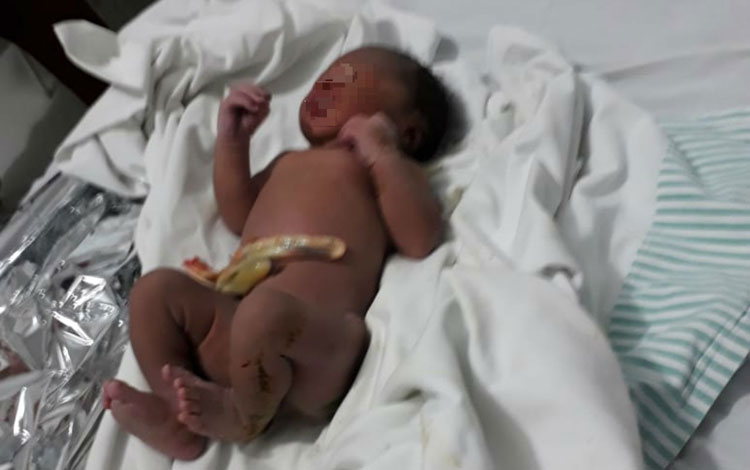 Bebê é abandonada em matagal ainda com cordão umbilical no interior da Bahia