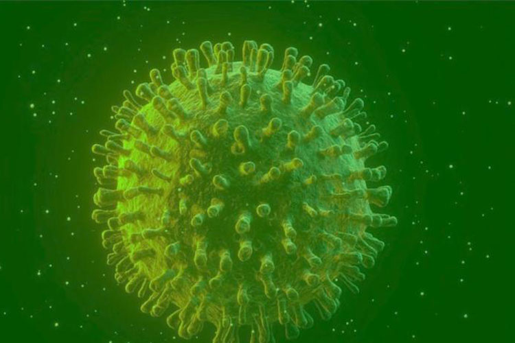 Infectados de Covid-19 podem gerar anticorpos permanentes, diz estudo