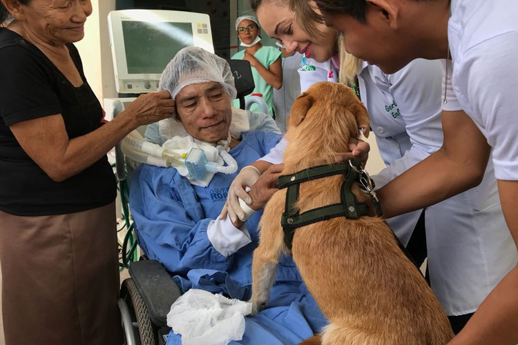 Sem poder se mexer, paciente chora ao receber visita de cão