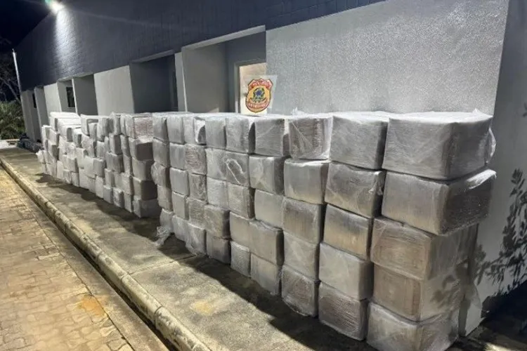PF desarticula quadrilha do tráfico de drogas e lavagem de dinheiro em Poções