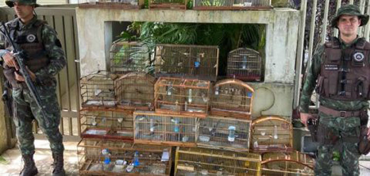 Mais de 70 animais são retirados de cativeiro pela PM em Ilhéus