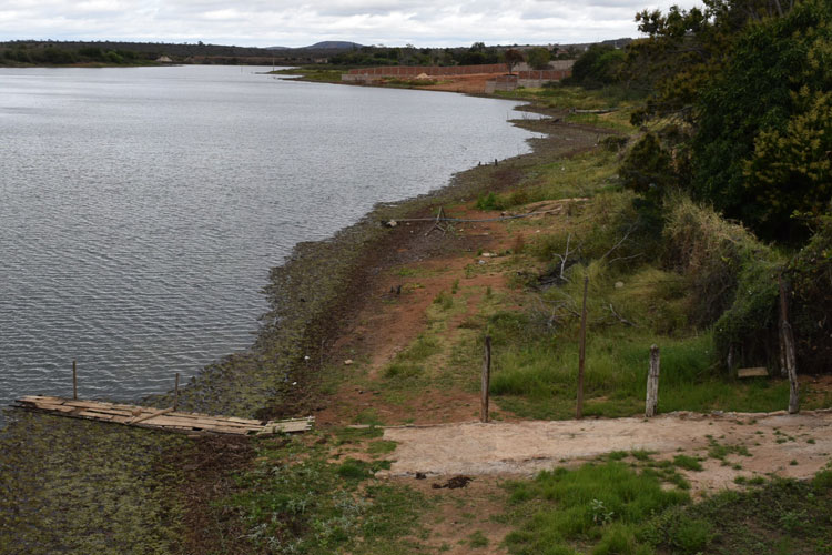 Invasões às margens do Rio do Antônio estão prejudicando a biodiversidade da caatinga em Brumado