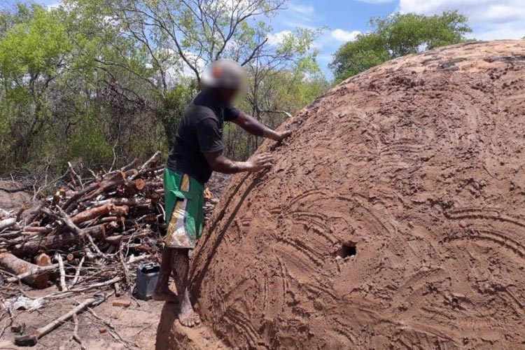 Trabalhadores de Palmas de Monte Alto são resgatados de carvoaria no Piauí