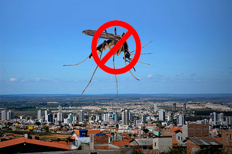 Vitória da Conquista em alerta com infestação do mosquito da dengue nas alturas