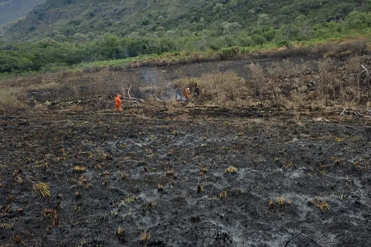 Incêndio em área de preservação em Rio de Contas pode ter sido criminoso, diz secretário