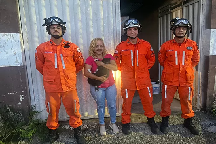 Gata prenha fica presa entre paredes e é resgatada por bombeiros em Eunápolis