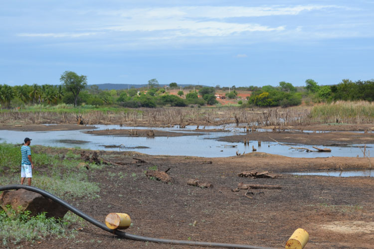 Pelo menos 44% das cidades da Bahia sofrem com a forte seca