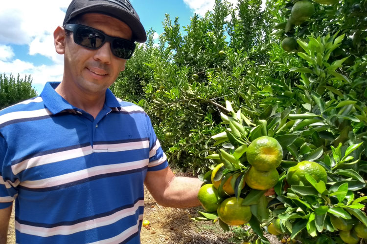 Brumado: Agroindústria produz manga e pocan para mercados de São Paulo e Goiânia