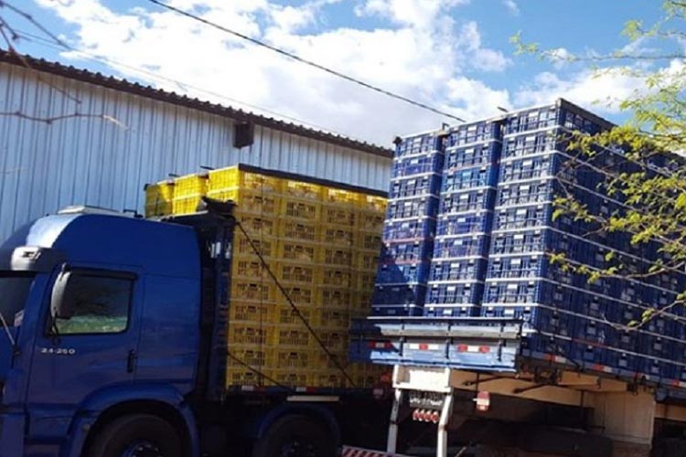 Guanambi: Caminhões com aves sendo transportadas irregularmente são apreendidos