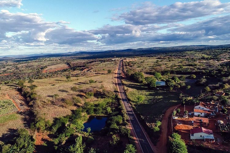 Brumado: Moradores denunciam que animais são criados soltos à margem de estrada vicinal