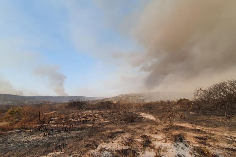 Governo decreta estado de emergência em 73 municípios baianos atingidos por incêndios