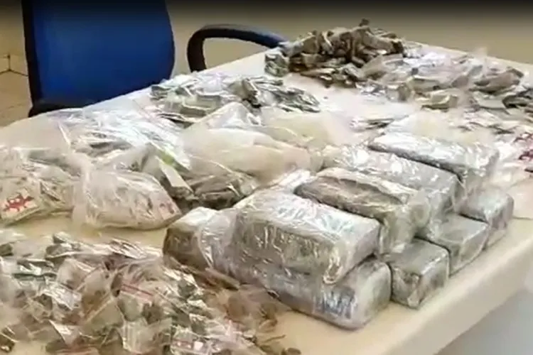 Polícia Rodoviária Estadual apreende mais de 16 kg de drogas na BA-156 em Caetité