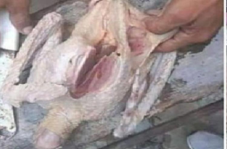 Carne de urubu estaria sendo vendida em feira como frango no Amazonas