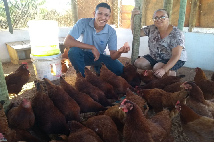 Produção de ovos caipiras fortalece a agricultura familiar nas Cacimbas em Malhada de Pedras