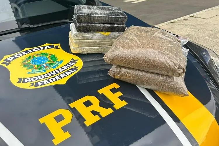 Conquista: PRF apreende K9 e cocaína em ônibus com duas mulheres que são se conheciam