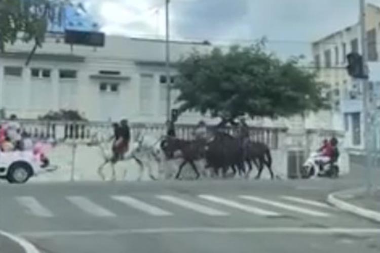 Sem máscaras, moradores de Jequié participam de cavalgada