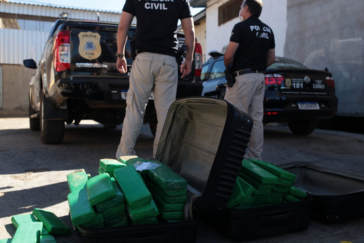 Polícia Civil incinera quase 100 kg de maconha apreendida no Terminal Rodoviário de Brumado