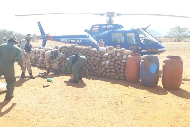 Livramento de Nossa Senhora: Justiça decreta prisão de donos de fazenda recheadas de maconha