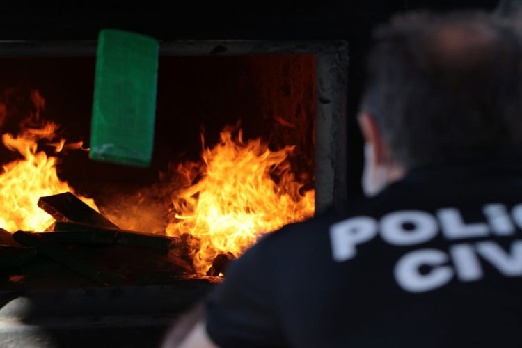 Polícia Civil incinera quase 100 kg de maconha apreendida no Terminal Rodoviário de Brumado