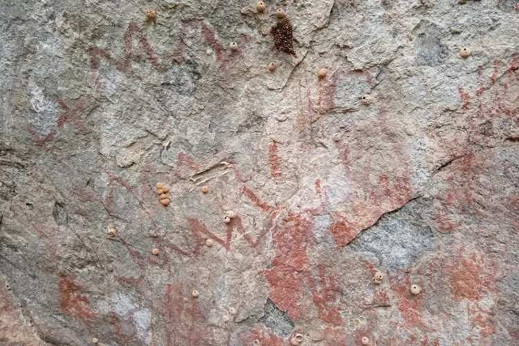 Cientistas fazem descobertas pré-históricas em cavernas de ferro na cidade de Caetité