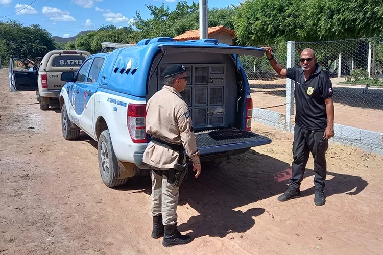 Operação policial cumpre mandado de prisão preventiva na cidade de Matina