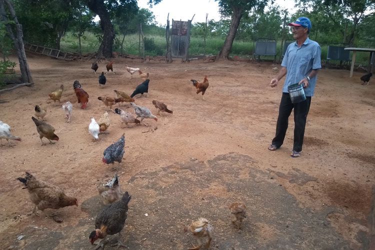 Pedal na Roça: Com 65 anos, seu Antônio pedala 14 km por dia para alimentar suas galinhas