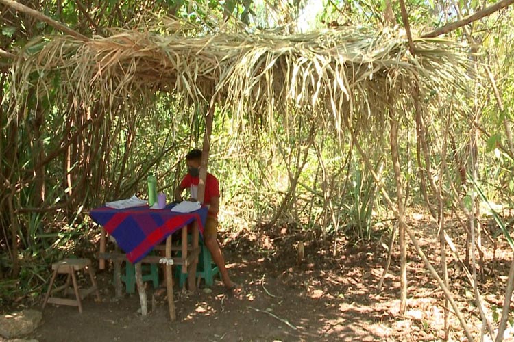 Piauí: Pai monta barraca de palha na mata para filho ter sinal de internet e assistir a aulas