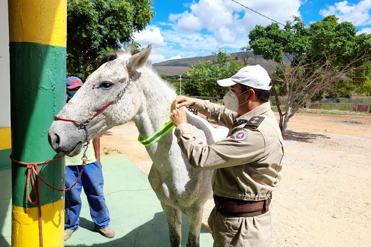 2ª CIPRv lança a campanha 'Pista não é Pasto' em Brumado