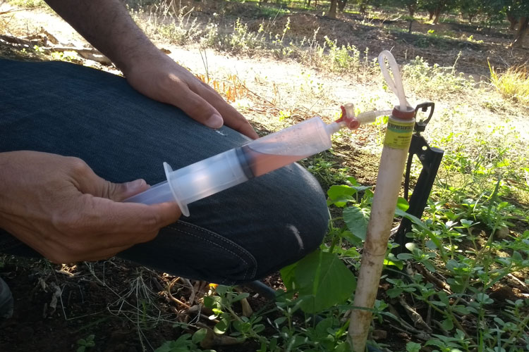 Pedal na Roça: Tecnologia favorece expansão da produção rural e da agroindústria em Brumado