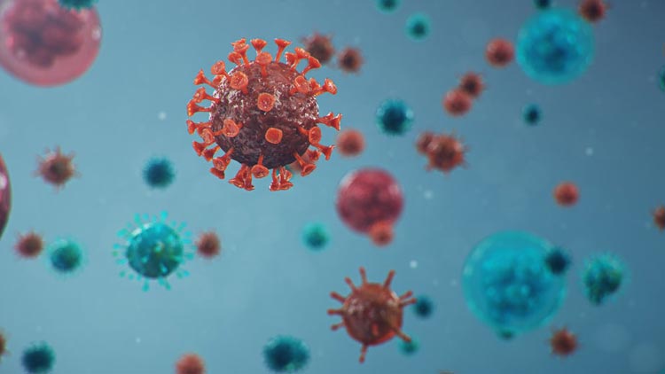 Covid-19: Vírus pode viver até 28 dias em superfícies lisas