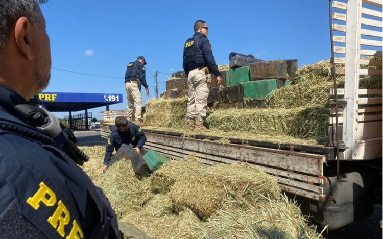 Apreensão de maconha teve crescimento de 22% nas estradas da Bahia em 2021