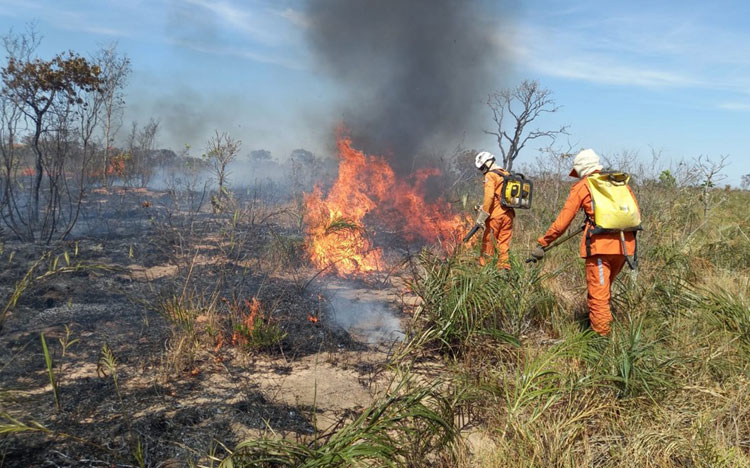 Área de proteção ambiental é atingida por incêndio na região da Chapada Diamantina