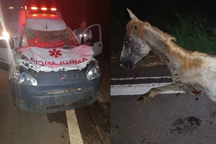 BR-030: Animal na pista provoca acidente com ambulância do município de Carinhanha