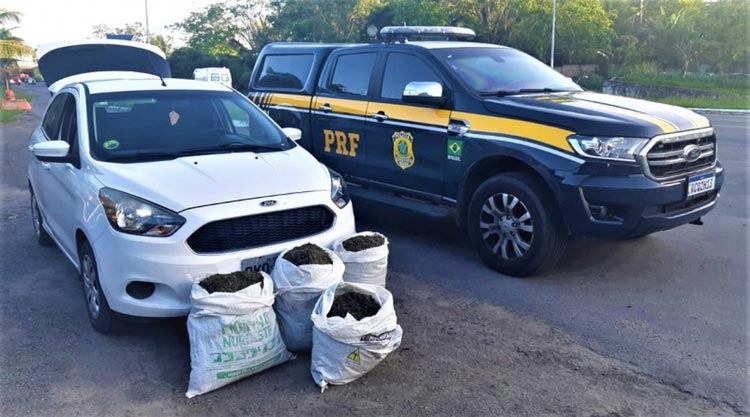 Motorista de aplicativo é preso com 26 kg de maconha em rodovia do sul da Bahia