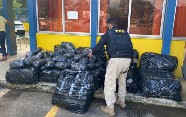 Motorista quebra cancela de pedágio ao fugir com 260 kg de maconha em veículo na BR-324